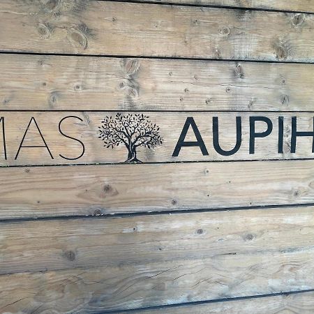 Mas Aupiho Villa Saint-Rémy-de-Provence Dış mekan fotoğraf