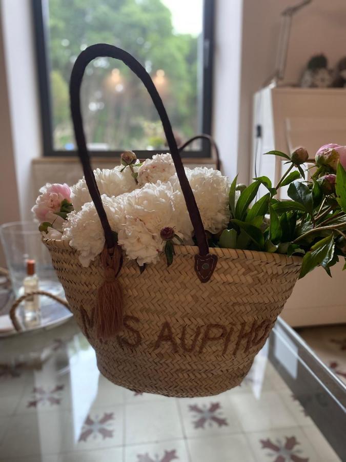 Mas Aupiho Villa Saint-Rémy-de-Provence Dış mekan fotoğraf